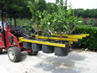 Tree Forks Nursery Equipment