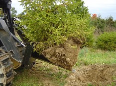 tree nursery equipment