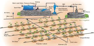 drip irrigation system for trees