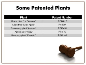 plant patents