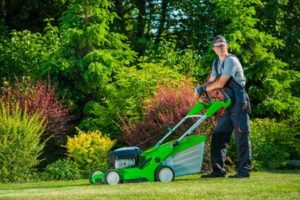 fertilizing in spring