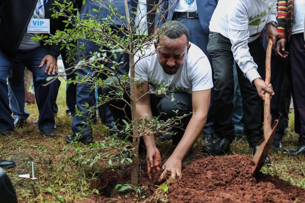 Ethiopia tree planting